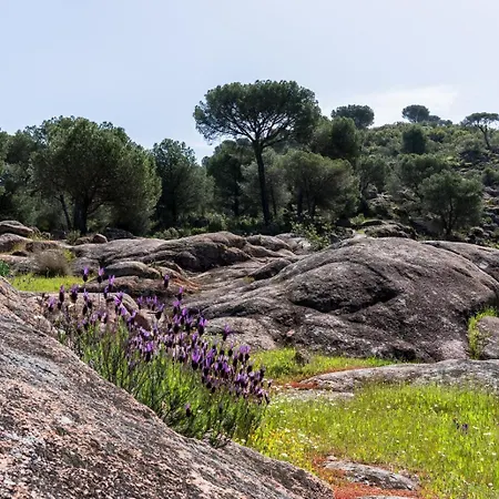 Casa El Oasis Del Rural